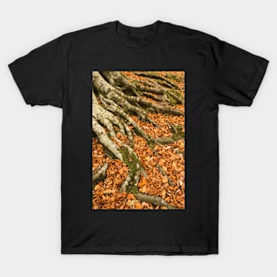 Grasmere Fall T-Shirt